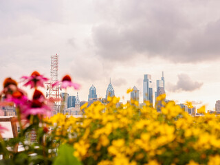 Philadelphia skyline with flowers in the foreground.