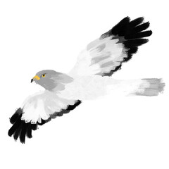 새