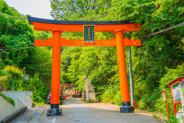新緑に包まれた赤い鳥居