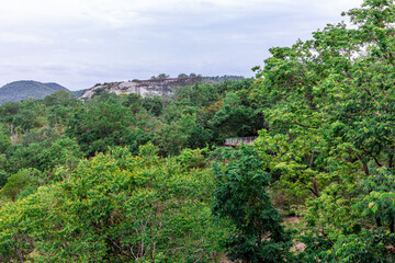 panoramic background of high mountain scenery, overlooking the atmosphere of the sea, trees and wind blowing in a cool blur, spontaneous beauty