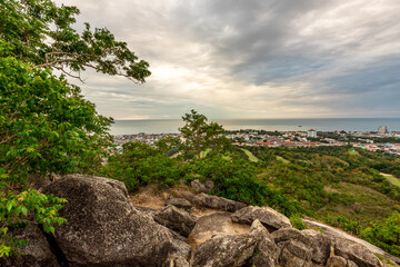 panoramic background of high mountain scenery, overlooking the atmosphere of the sea, trees and wind blowing in a cool blur, spontaneous beauty
