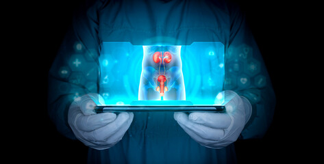 The nephrology specialist projects the man's kidneys, bladder, prostate and penis on X-ray. He...