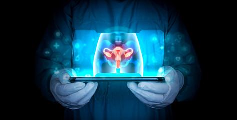 doctor holds a tablet, shows a woman's pelvis x-ray. Uterus. Female reproductive health concept....