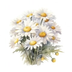 A beautiful bouquet of white daisies on a clean and elegant white background