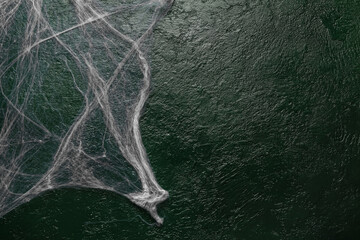 Spider web on green background. Halloween celebration