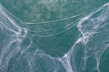 Spider web on green background. Halloween celebration