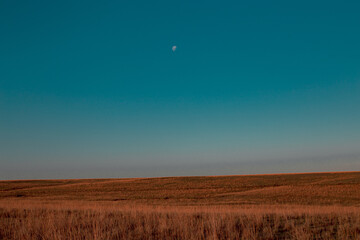 landscape: moon over the field