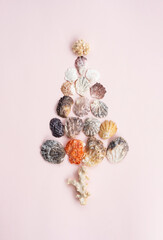 Christmas tree by sea shells. Alternative marine xmas tree.