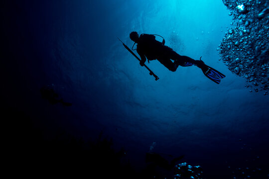 Deep Hunter