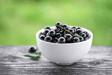 Fototapeta na wymiar White bowl with fresh black currant at summer garden blurred background. Copy space for text