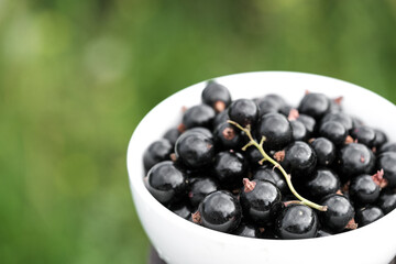 White bowl with fresh black currant at summer garden blurred background. Copy space for text