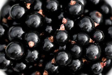 Fresh black currant abstract background. Macro berries.