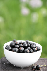 White bowl with fresh black currant at summer garden blurred background. Copy space for text