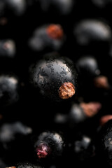 Fresh black currant abstract background. Macro berries.