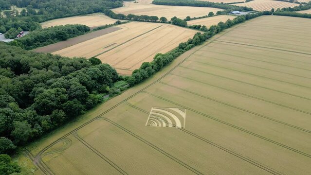 Circling aerial view above mysterious waveform crop square on Hampshire golden wheat farming countryside 2023