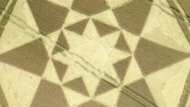 Aerial view passing low over Micheldever crop circle star formation 2023 on Hampshire wheat field