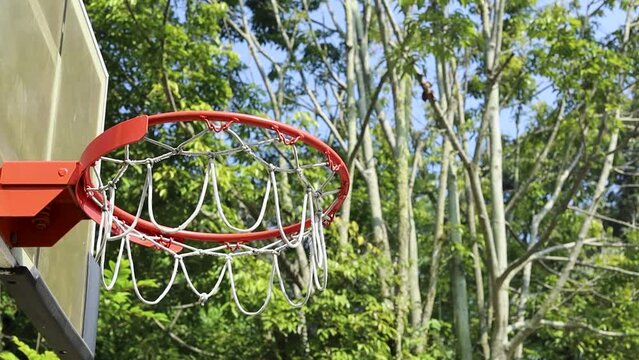 Throw in a basketball at park with trees on the background, the ball hits the ring and through the net