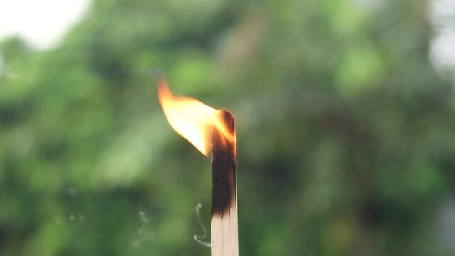 Wooden stick ice cream burning with blurred trees background