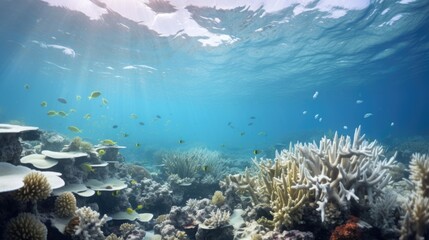 Fototapeta premium coral reef bleaching event generative ai