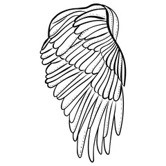 black and white wing minimal line art simple and clean