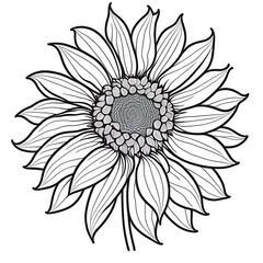 Flower Coloring Book for Kids
