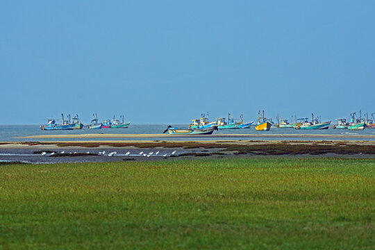 Mannar Sea scape with Fishing Boats at Sea.