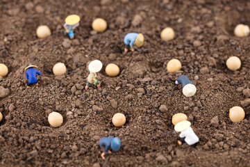 Miniature creative farmers are planting soybeans