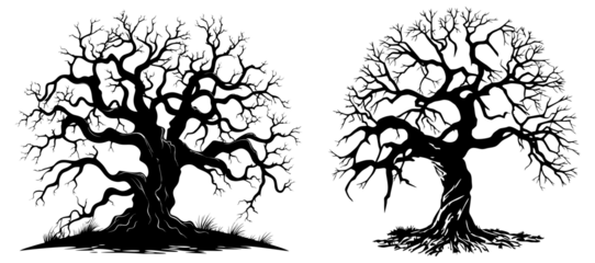 Naked scary tree silhouette. Winter trees with bare branches, Generative AI 