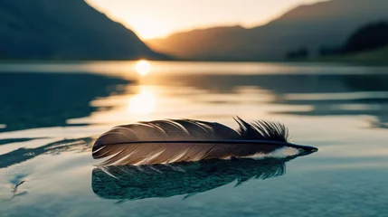 Fotobehang An old feather resting on a lake during a beautiful blue and turquoise sunset, with mountains on the back © Lifia