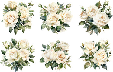 Vector flower set of white rose bouquets with flowers and leaves on a white background.