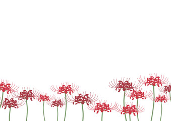 彼岸花のイラスト背景素材