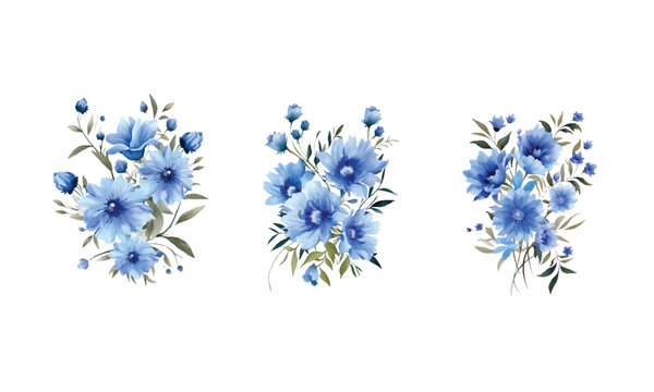 Vector watercolor blue wild flowers cornflower on white backdrop. Isolated beautiful hand drawing summer flowers. Floral illustration