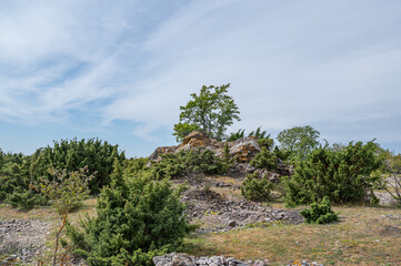 island Osmussaar, Estonia