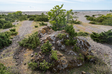 Obraz premium island Osmussaar, Estonia