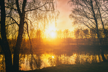 Dawn on a lake or river with a sky reflected in the water, birch trees on the shore and the...