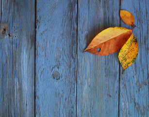 Autumn background with leaves. Old wooden board.