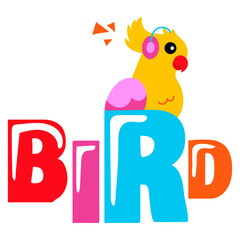 Bird 