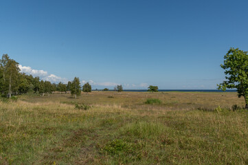 Fototapeta na wymiar Landsacape in island Abruka, Estonia