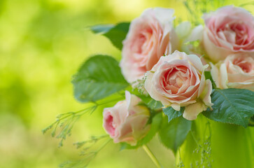 pink rose flowers on beautiful blur background. Pink roses bouquet in a garden