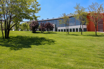 landscape with trees