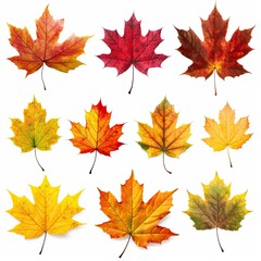 Naklejka na ściany i meble Autumn dry leaves isolated on white background. Generative AI illustration
