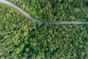 Aerial top view of a mountain road in the forest