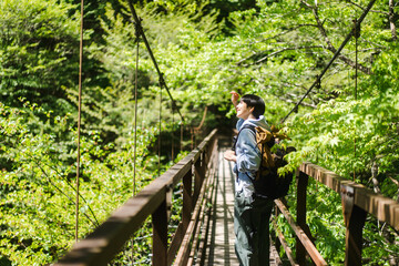 新緑の山道を歩いている若い日本人女性/吊り橋を渡っている - obrazy, fototapety, plakaty