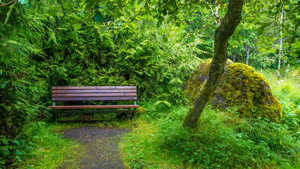 Fototapeta na wymiar Tórshavn, Faroe Islands. Lonely bench surrounded by lush greens in the city park, historical downtown.