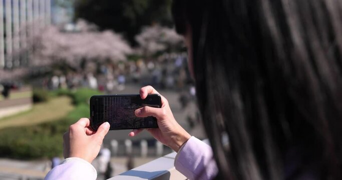 A portrait of Japanese woman shooting by smartphone behind cherry blossom close up