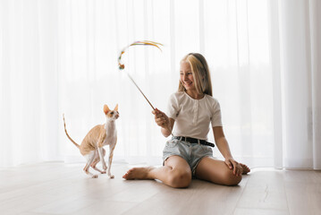 Caucasian teenage girl plays with a cornish rex cat at home on a sunny day, focusing on a pet...