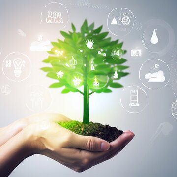 Hand holding a green tree with icons of energy sources for renewable, sustainable development. ecology and world sustainable environment concept. Saving the environment, saving the clean planet