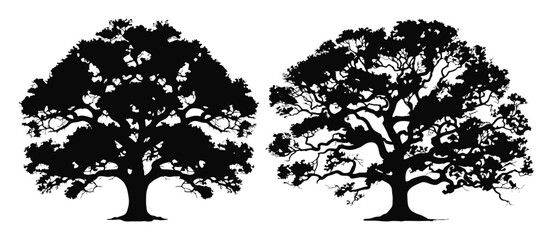 oak tree silhouettes set illustration