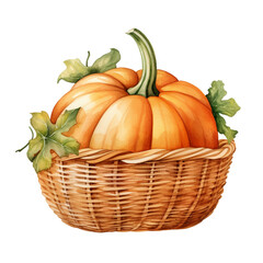 Single pumpkin in woven basket watercolor style on white background