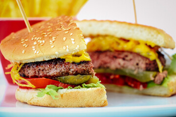 Burger and fries